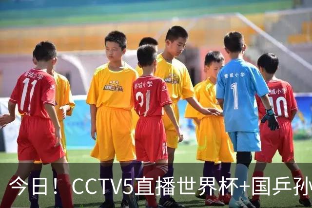 今日！CCTV5直播世界杯+国乒孙颖莎冲击冠军+中国男篮，5+转温网