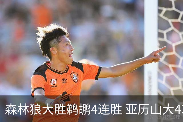 森林狼大胜鹈鹕4连胜 亚历山大43分雷霆克骑士
